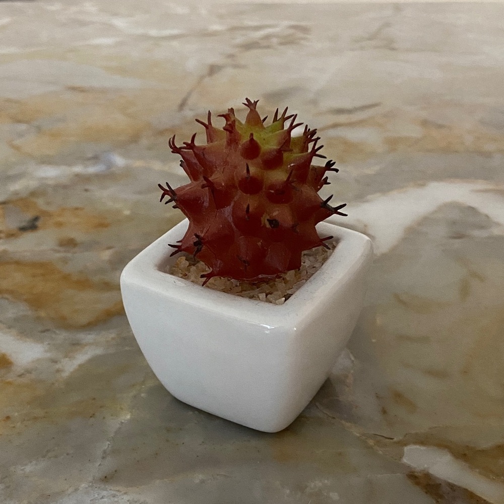 🧡 mini artificial cactus decoration